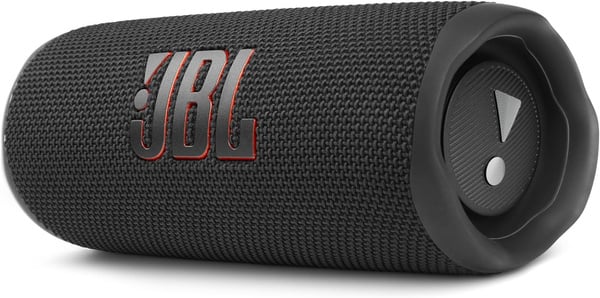 JBL Flip 6